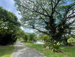 Pasir Ris Beach Park (D18), Semi-Detached #496784351